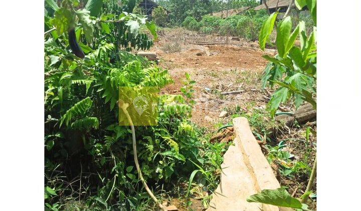Dijual tanah di natar 1