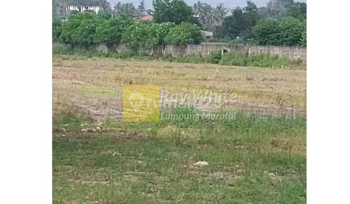 Dijual tanah di Sukarame 1