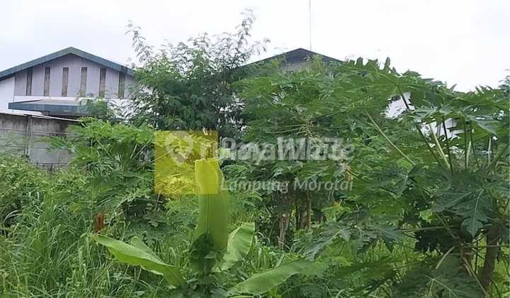 Warehouse for sale on Campang Raya Bypass. 2