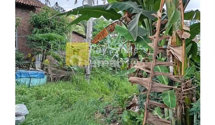 Diual Tanah di Beringin Raya Kemiling 2