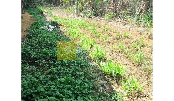 Dijual tanah di natar 2