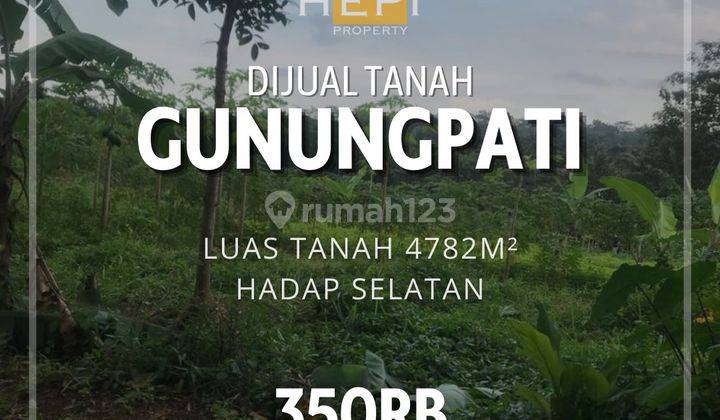 Dijual Tanah Harga 350 Ribu meter Area Gunung Pati Semarang 1