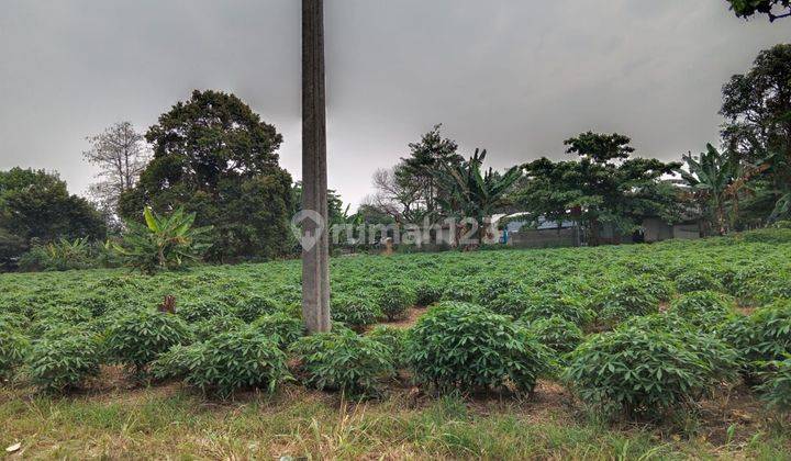 Lahan Murah Di Pondok Udin Parung Bogor 2