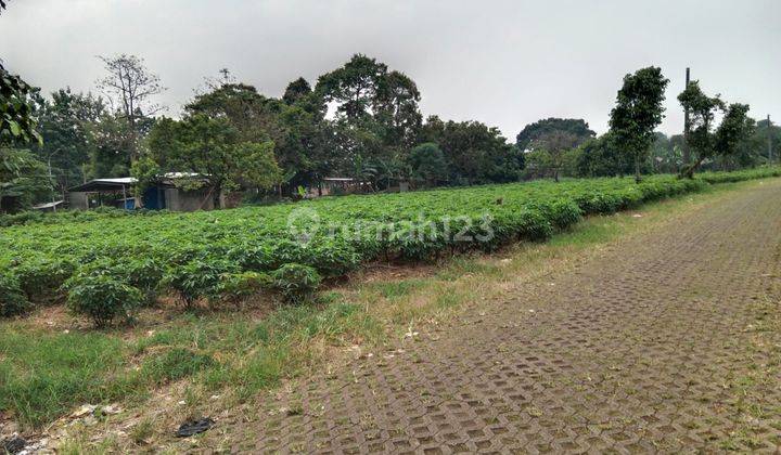 Lahan Murah Di Pondok Udin Parung Bogor 1