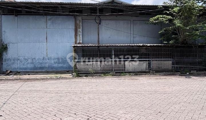 Warehouse for Rent Sinar Gedangan Ready to Use