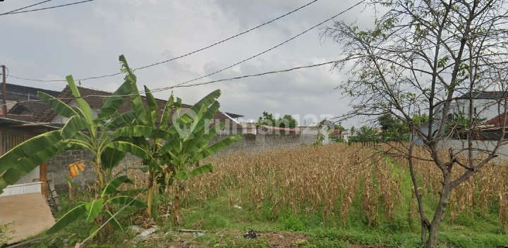 Tanah Dua Muka Lokas Strategis dekat Jl.Jogja Solo di Juwangen, Kalasan – LT 1.200 m²