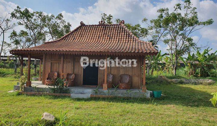 RUMAH JOGLO ESTETIK DI JALAN KALIURANG COCOK UNTUK RUMAH MAKAN ATAU RESTO 2