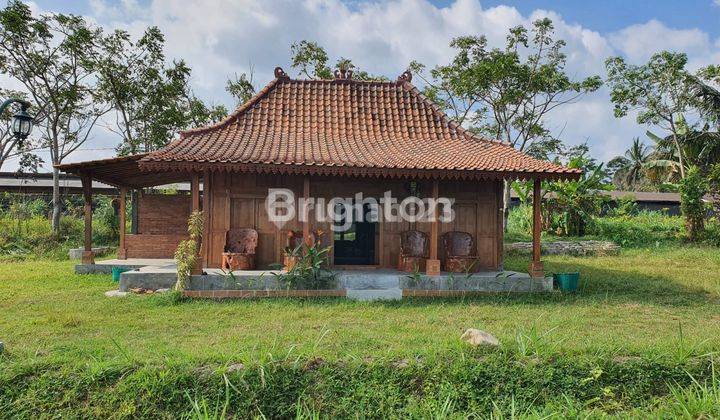 RUMAH JOGLO ESTETIK DI JALAN KALIURANG COCOK UNTUK RUMAH MAKAN ATAU RESTO 1