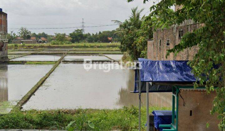 TANAH SAWAH DI JALAN DEPAN PERSIS KOLAM RENANG TIRTA TAMAN SARI BANTUL KOTA,