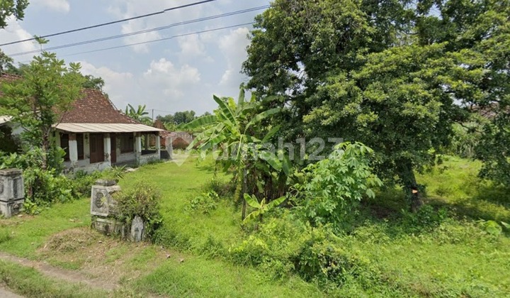 SHM Land Area 6,019 M2 Front Width 60 M in Nganjuk SHM Land Area 6,019 M2 Front Width 60 M in Nganjuk