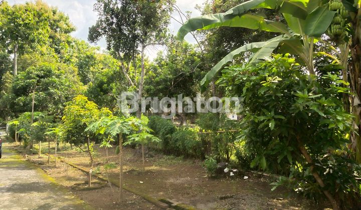 Rumah Luas Strategis di Banjararum Kulon Progo 2
