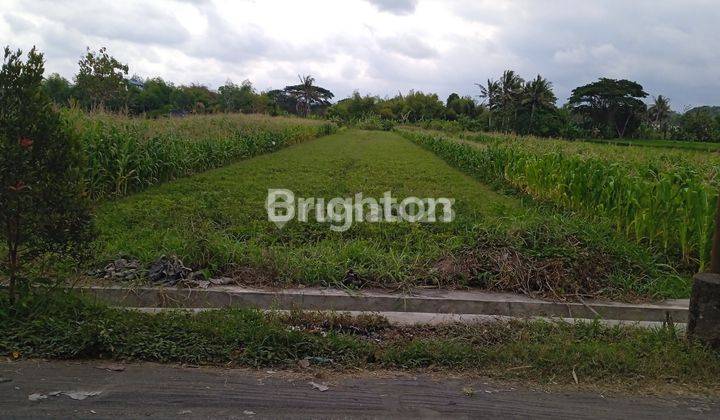 Tanah Strategis Dekat Kampus Umy Dijual Rumah