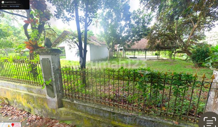 Tanah Luas 2.680M² Bonus Bangunan & Kolam Ikan di Mlati Tanah Luas 2.680M² Bonus Bangunan & Kolam Ikan di Mlati