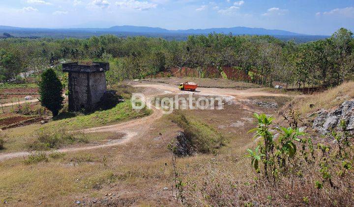 TANAH STRATEGIS 1,5 HA DI GUNUNG KIDUL, YOGYAKARTA 2