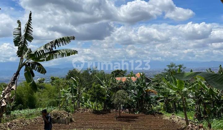 Tanah Luas 2412 m2 SHM di Cisurupan Bandung – Lokasi Strategis dan Sejuk