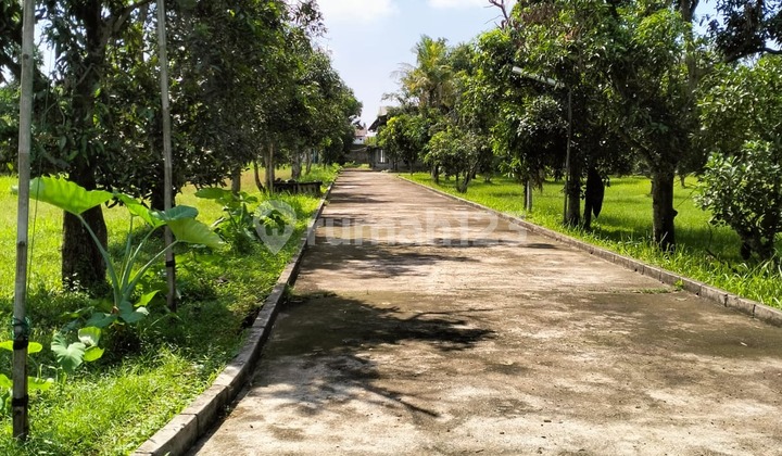 DIJUAL LAHAN TANAH DAN GUDANG DENGAN LOKASI YANG SANGAT STRATEGIS 2