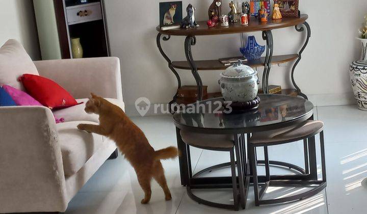 Dijual Rumah Di Komplek Perbanas Pondok Ranji Ciputat Tangerang Selatan 2