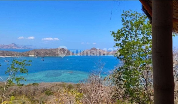 Dijual Kavling yang Letaknya Sangat Strategis di Labuan Bajo Nusa Tenggara Timur Dijual Kavling yang Letaknya Sangat Strategis di Labuan Bajo Nusa Tenggara Timur