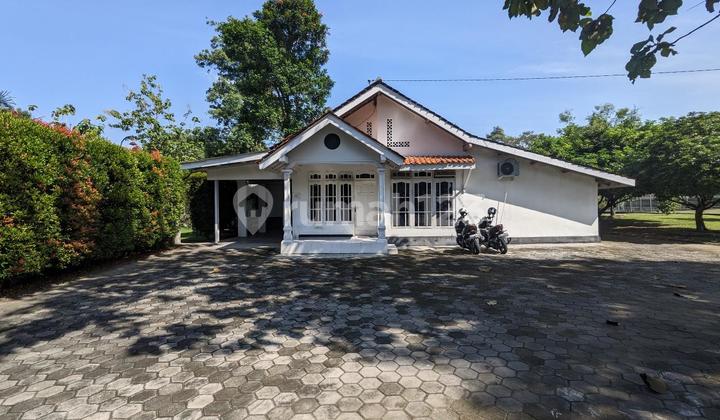 For Sale: Spacious, Well-Maintained, and Neat Land in Wedomartani, Sleman, Yogyakarta