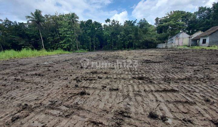 Belakang Kampus UMY Tanah Kavling Bantul Legalitas SHM 1