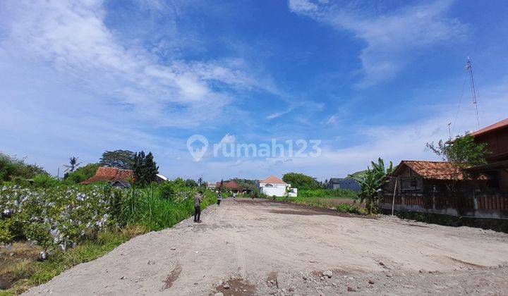 Tanah Jogja View Sawah di Jl Palagan Cocok Bangun 2