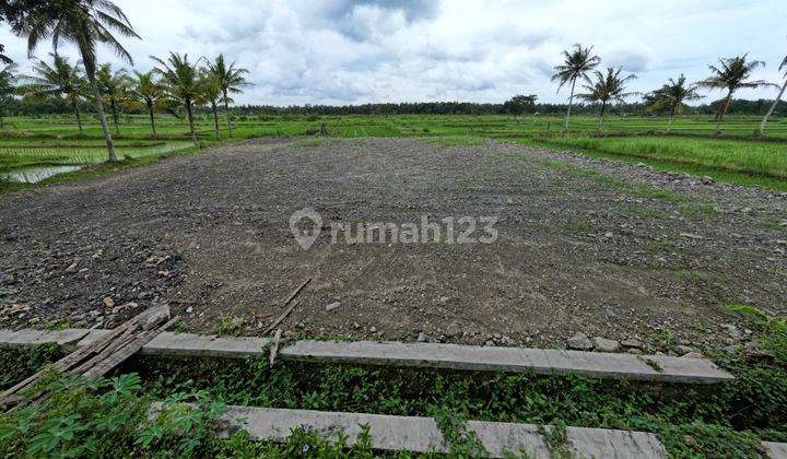 Tanah Murah Kulonprogo, Dekat Bandara YIA & Kampus UAD 6 1