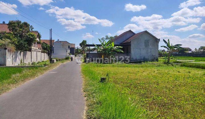 Profit Invesrasi Tanah Jln Solo Jogja, Kalasan Sleman. Shmp 2