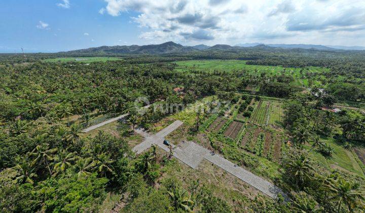 Investasi Tanah Dekat Terminal Wates & Kampus UAD 4 1