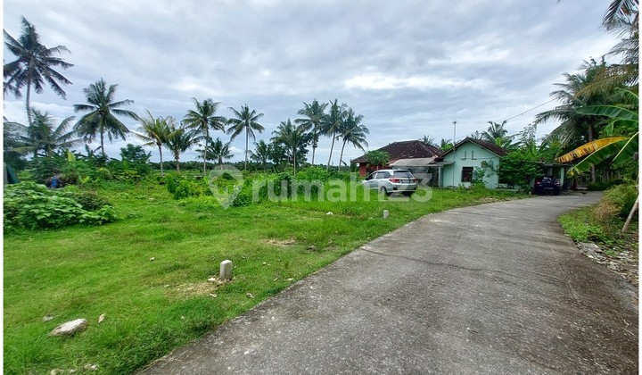 SIAP AJB! Tanah Area Wates Dekat Bandara YIA dan UAD 6 SIAP AJB! Tanah Area Wates Dekat Bandara YIA dan UAD 6