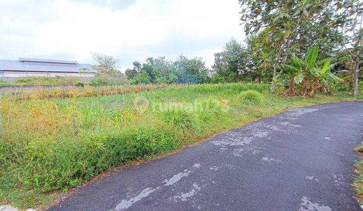 Tanah Jogja Strategis Dekat Jl. Palagan Km 10, Tepi Jalan Aspal 2