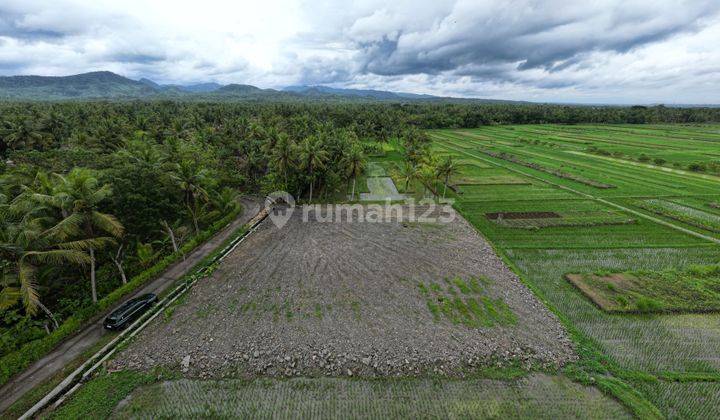 Lokasi Dekat Bandara YIA & Kampus UAD 6, Harga Terbaik! 1