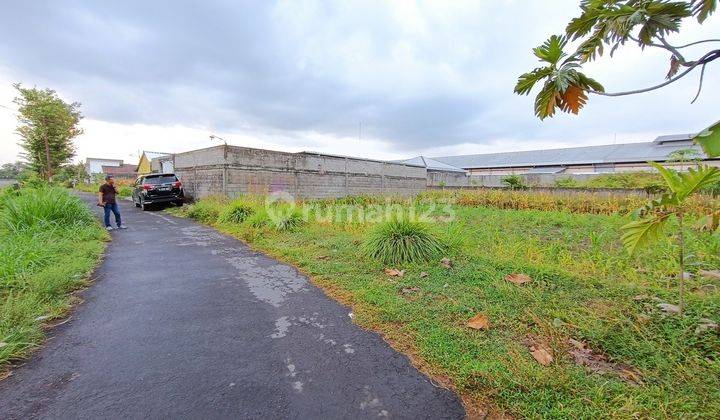 Tanah Jogja Strategis Dekat Jl. Palagan Km 10, Tepi Jalan Aspal 1