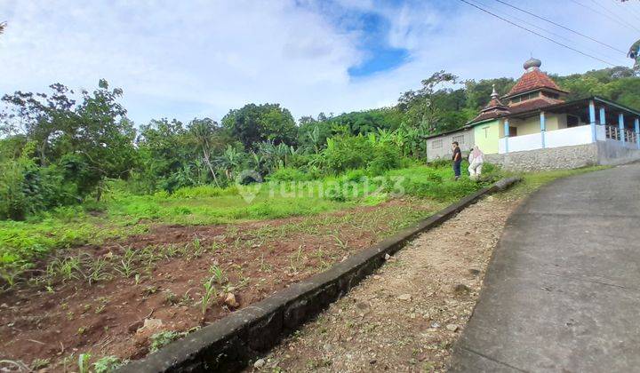 Tanah Bantul Murah Dekat RS Nur Hidayah & Tempat Wisata  2