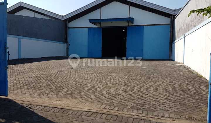 0899 - For Rent: Mutiara Tambak Langon Warehouse LB 980 M2