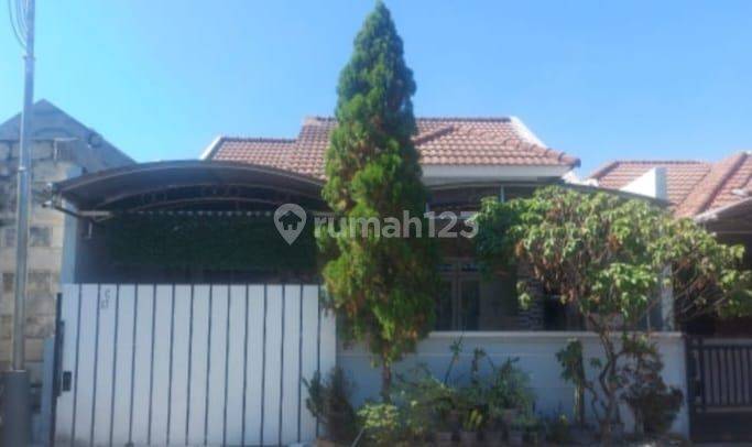 0334 - Dijual Rumah SHM Palm Spring Regency LT 96m LB 54m 1