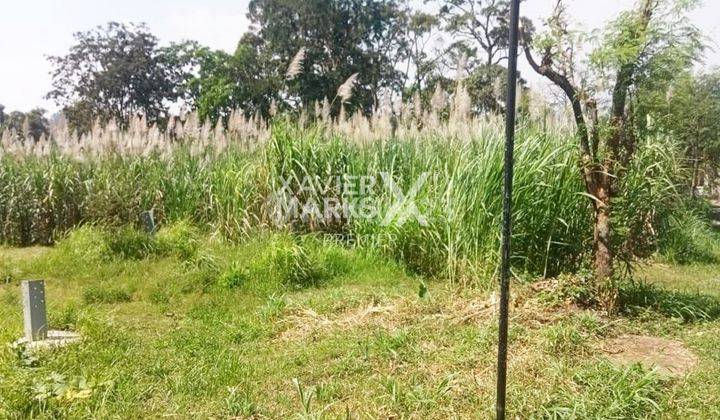 Di Jual Tanah Siap Bangun Padat Penduduk, Lawang Malang 1