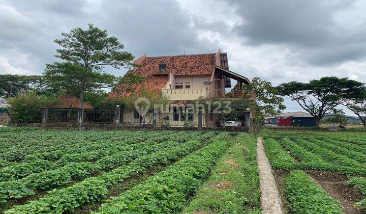 VILLA KUNINGAN 2 Lantai  SHM - Sertifikat Hak Milik 2