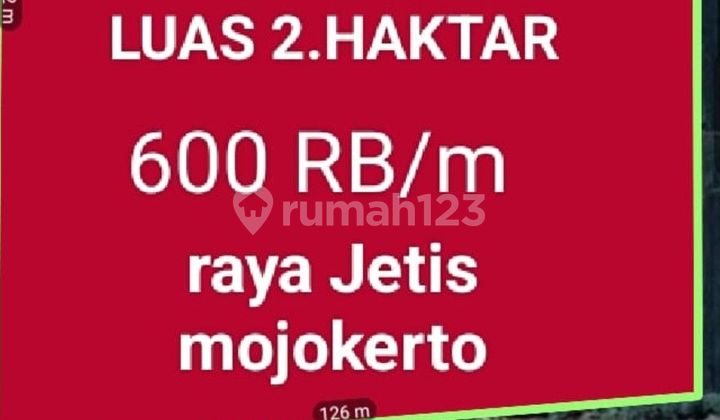 Di jual Tanah murah mojokerto jetis Di jual Tanah murah mojokerto jetis