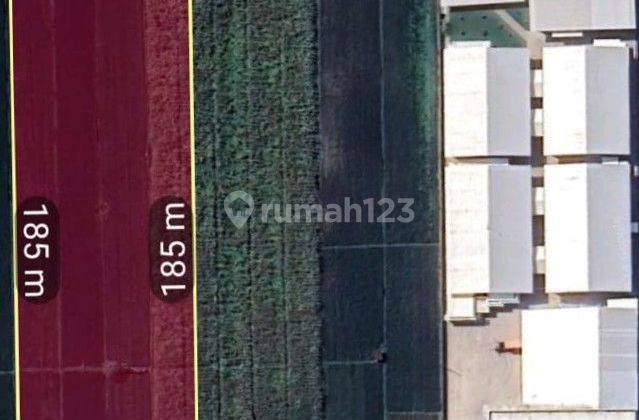 Tanah Industri Atau Pabrik Wilayah Mojokerto Dekat Pintu Tol Zona Merah 1