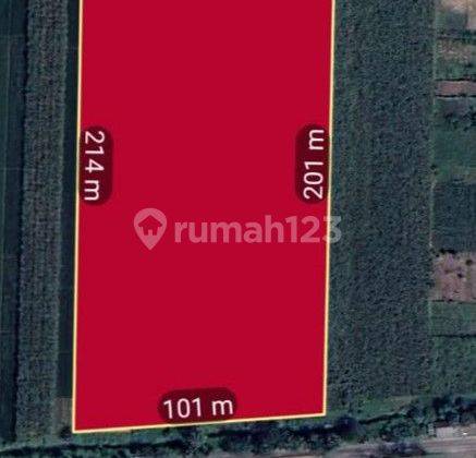 Tanah Industri Mojokerto - Kemalagi Untuk Pabrik/gudang  2