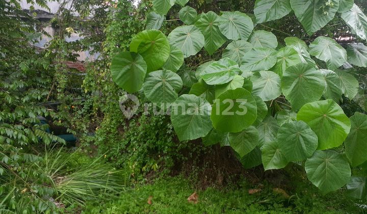 Jual Rumah Sertipikat SHM Hitung Tanah di Daerah Waru 2