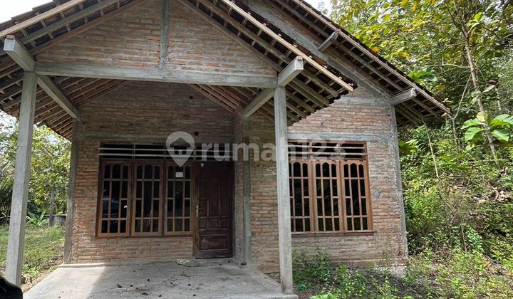 Tanah Pekarangan Murah 1612m2 Murah 400 Rb/m Lendah Kulon Progo 1