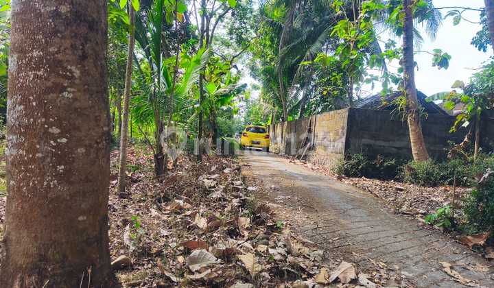 Tanah Tegal 491m2murahkembang Dkt Geblek Pari Nanggulan K Progo 