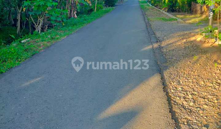 For Sale 600m2 Cheap Residential Land Cerme Panjatan Kulon Progo