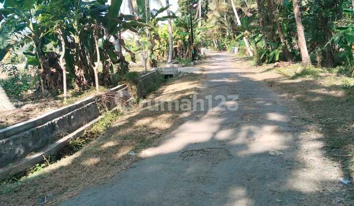 Jualtanah Sawah Jaten Temon Harga Murahdkt Bandara Y I A Temon Jualtanah Sawah Jaten Temon Harga Murahdkt Bandara Y I A Temon