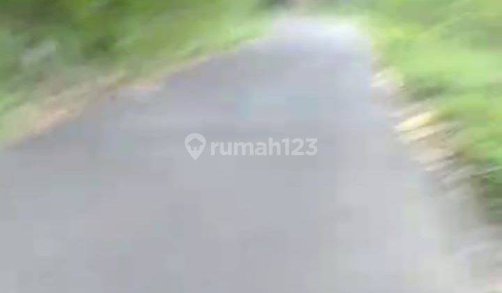 Jual Tanah Pekarangan Murah 8hektar Gebang Purworejo Jateng 1