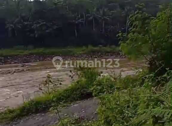 Jual Tanah Tegalan 4 Hektar View Mantap Sungai Progo Minggir Slmn