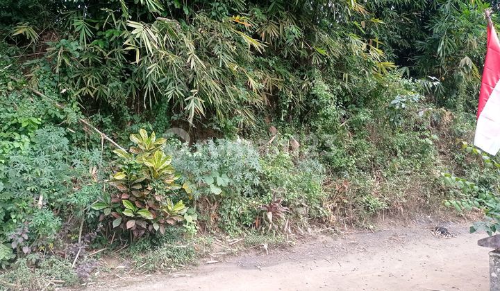 Jual Tanahpekarangan 1259m2 Dekat Cafe Labarka View Sungai Progo 