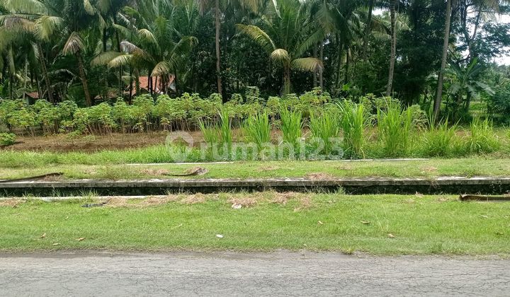Tanah Sawah Lokasi Startegis Wates Kulon Progo Tanah Sawah Lokasi Startegis Wates Kulon Progo