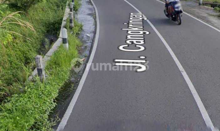 Tanah Pekarangan& Sawah Strategis Mangku Jln Propinsi Widomartani Ngemplak Sleman Tanah Pekarangan& Sawah Strategis Mangku Jln Propinsi Widomartani Ngemplak Sleman